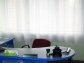 Аренда офисных помещений в бц гостиницы Краматорск